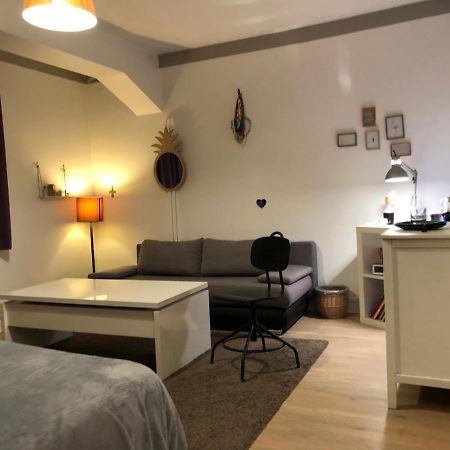 Chambre Independante Aux Pied Des Pyrenees Billere Εξωτερικό φωτογραφία